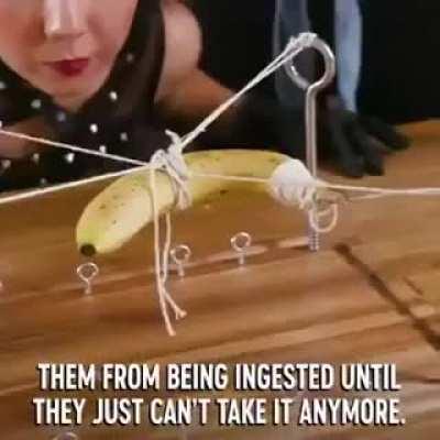 El pasatiempo del admin 😈