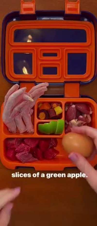 making a lunch for your son