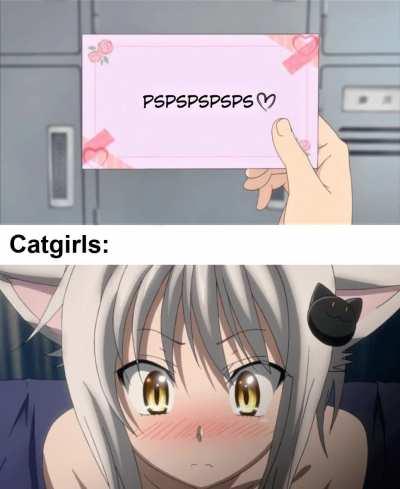 Koneko version cuz she's cute