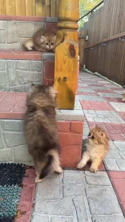 Go away I have the high ground