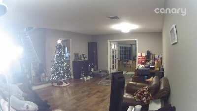 Dad Can See the Future