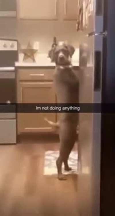 Doing dishes and baking a cake