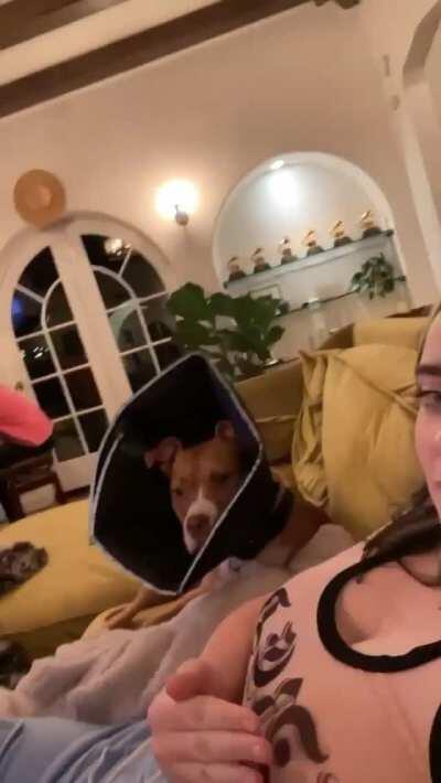 Billie slapping her huge milkers