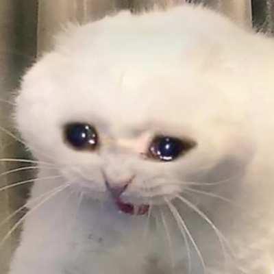 to those of you who liked my last edit, new wunkcore dropped