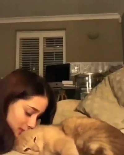 Cat returns the love to it's owner