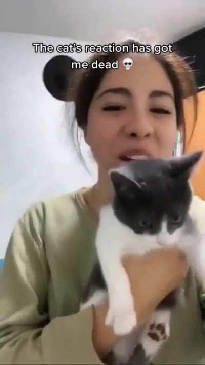 Cat did not like this filter