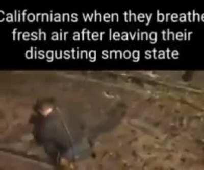 smog