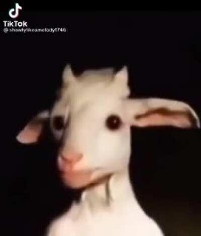 Amogus sus goat