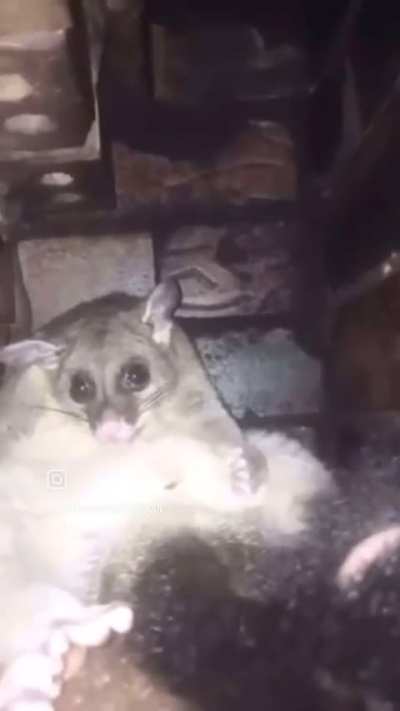 Bro is just out there vibin