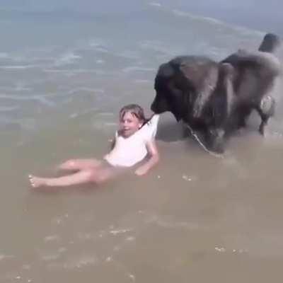 Bad dog sacrifices child to sea gods