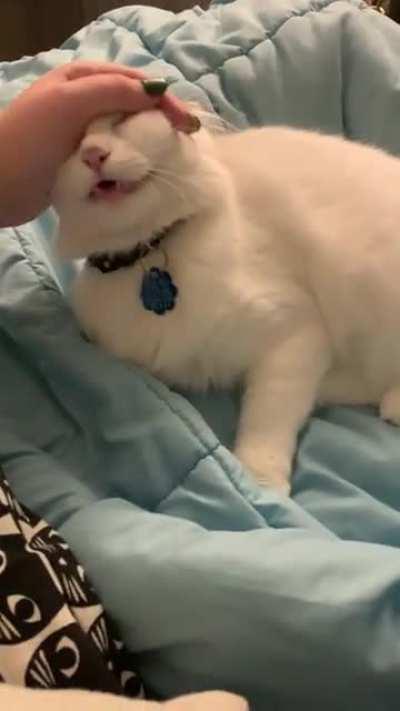 Her favorite type of pets