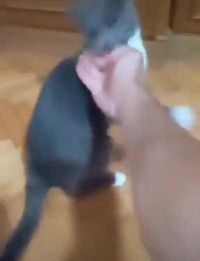 Her sabah newe post #20