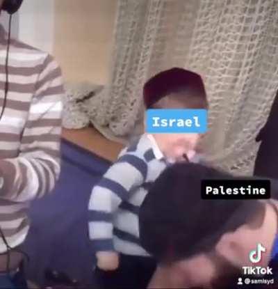 Accurate Palestine meme. Credit: samlsyd on TikTok
