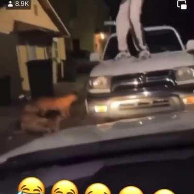 Man fights back against 3 dogs attacking him.