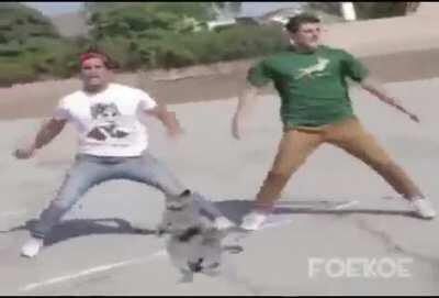 definição de shitpost