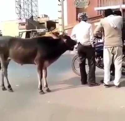 Is NNN Crap over yet?