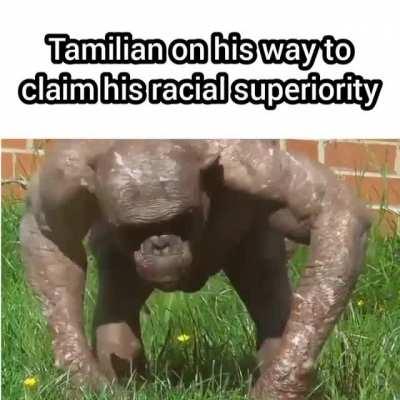 Anthony do be looking fresh👌