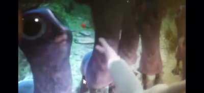 This sort of gameplay footage was leaked in 2018 and it already looks decent now 2 years later i think it improved so much so dont worry about the gameplay being trash