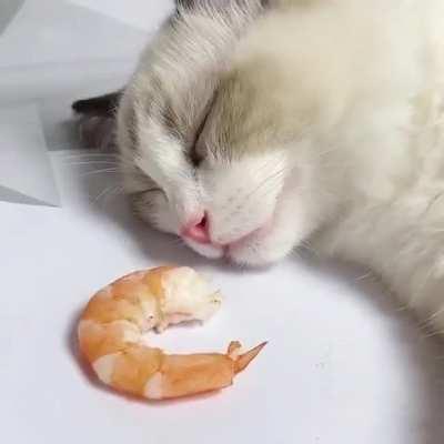 Sweet dreams are made of this.