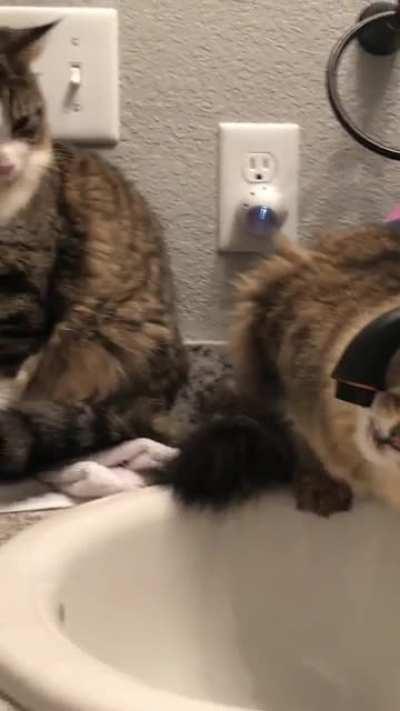 Pretty much sums it up