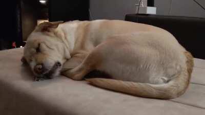 I think she's very very mad at someone...