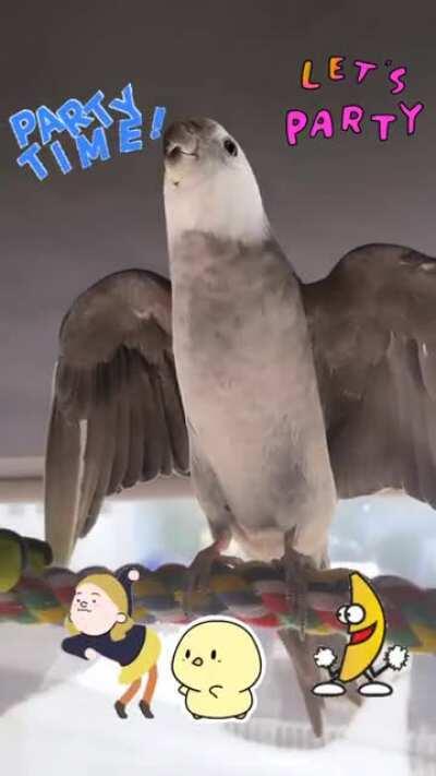 Party Chicken (that’s his name) busting out “September” & “Funky Town” REMIX 🎉