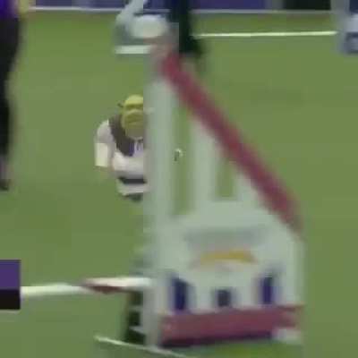 kkkkkkkkkkkkkkkkkkkkkkk