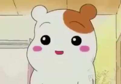 NOOOOOOOO, LA AREPAAAA !!!!