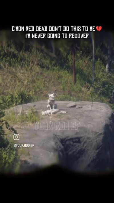 An Amazing Detail But Pretty Sad