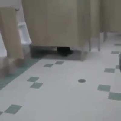 AAUAUuuuagGghaAAaŁŁuuaaaaaAAAAu