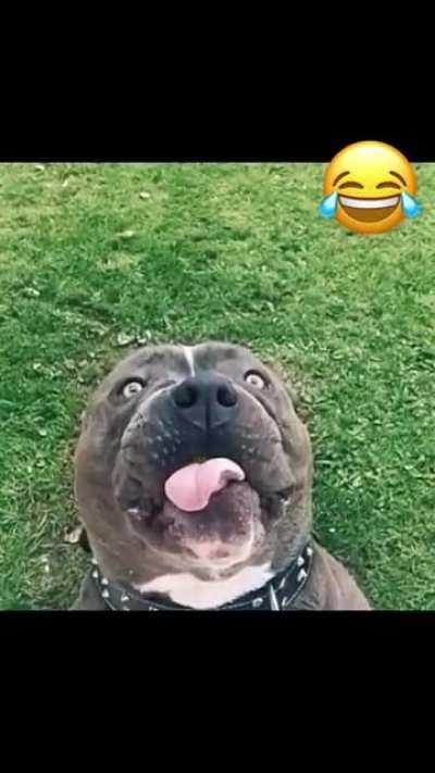 Wait a minute, its bitter.