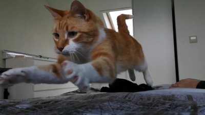 Target acquired, deploying projectile.