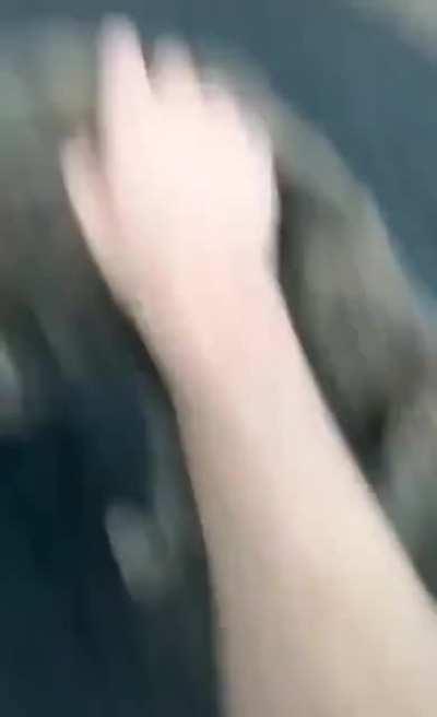 Human, I shall not forget.