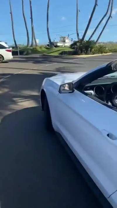 Rachel Baelin (@rachelbaelin)