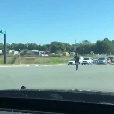 SiCK fuCK LeAvES tORtOiSe oN InTeRsEcTiOn