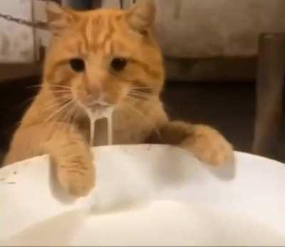 Чужие здесь не ходят!