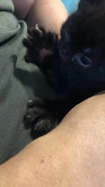 Gotta clean da murder mitts