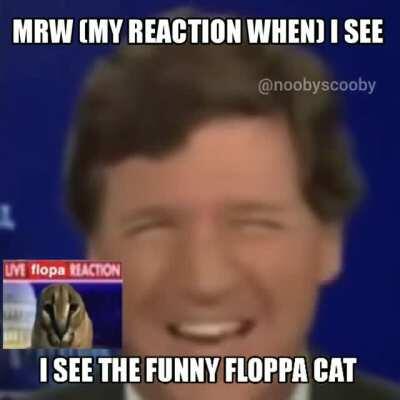 Tucker Carlson likes big floppa