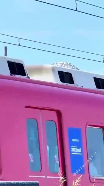 Perfect Realignments