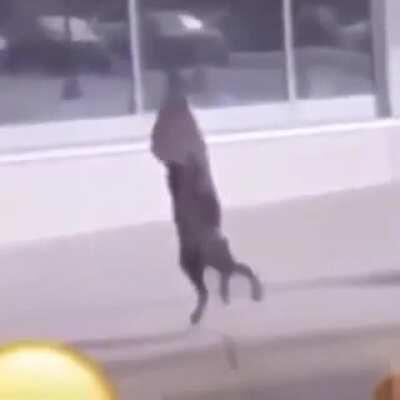 the bodies were mutilated beyond recognition