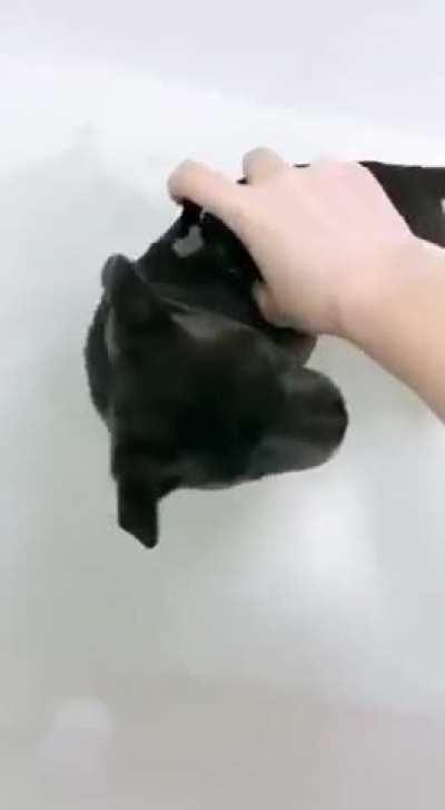 Bathing procedures ☺️