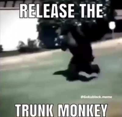 Trunkey