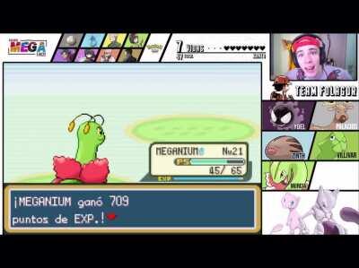 Fola modo feminista ON