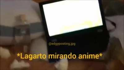 PERRO MALO😤😤😤