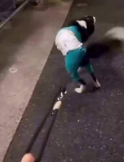 The tail that wags the dog