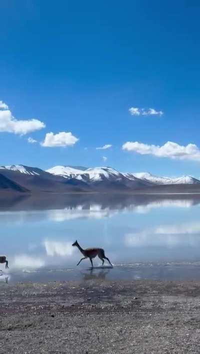 Lo sacó mi hermana en Catamarca. Que país lindo tenemos che