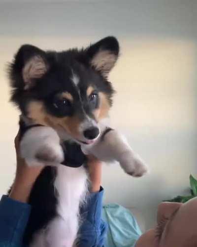 Sometimes we just get overwhelmed by his cuteness.