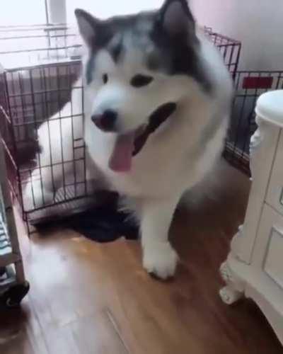 No you can't come in, yer too fat