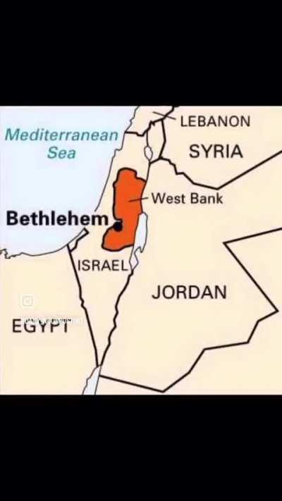 Family guy brain rot