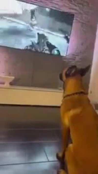 Nice Game You Got There...